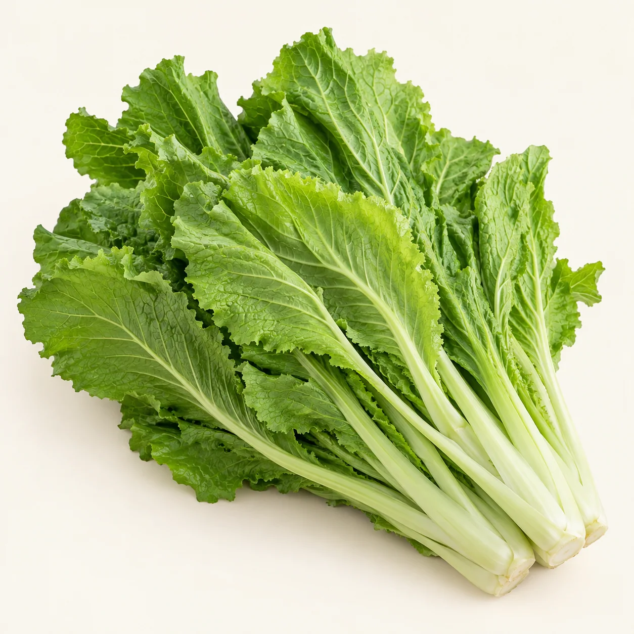 Rau cải